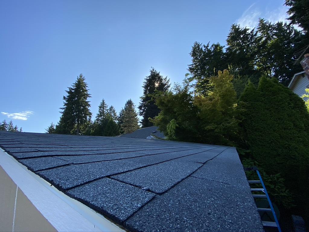 Roof shingles on the shed.