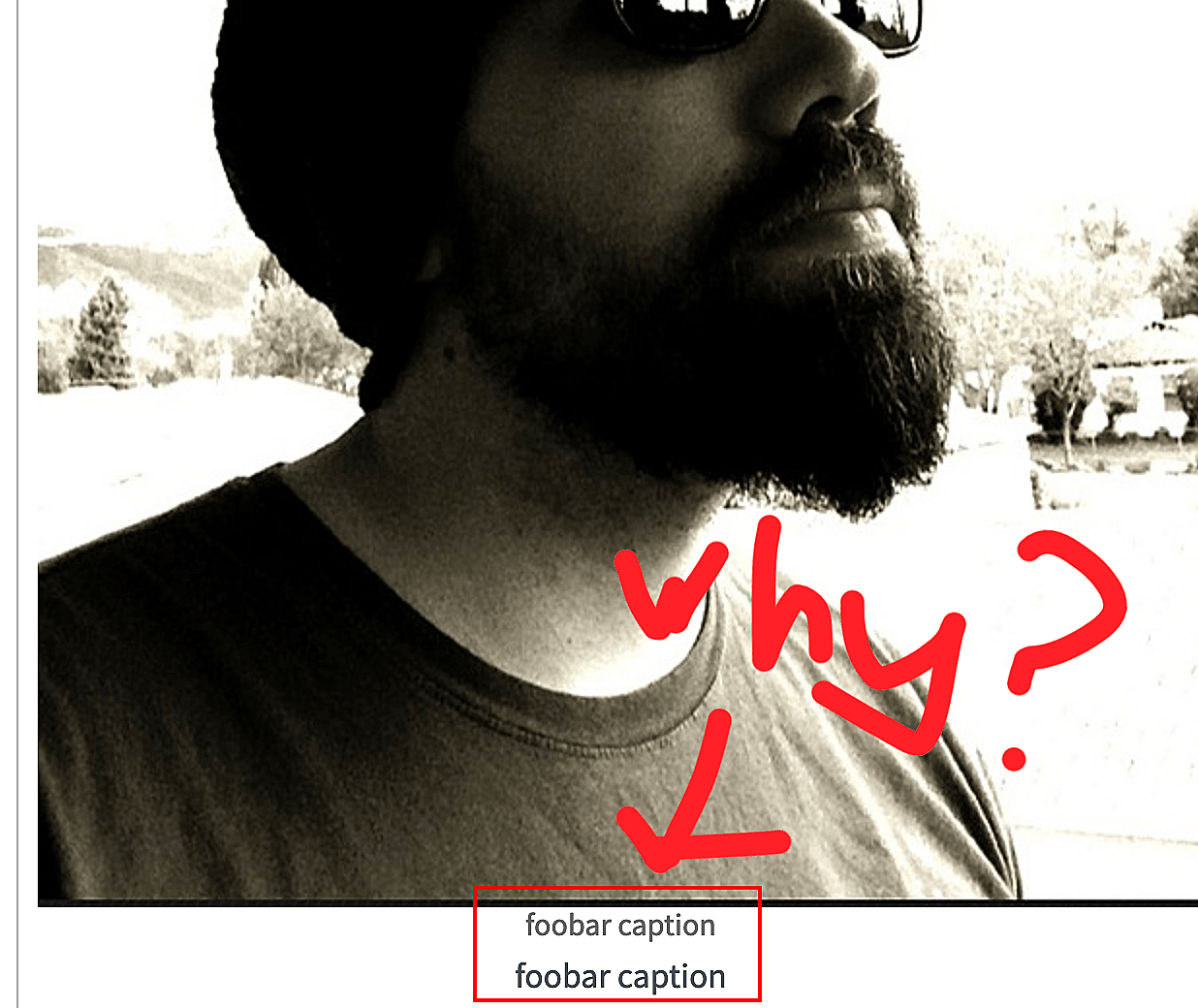 Figure element showing two captions instead of one.